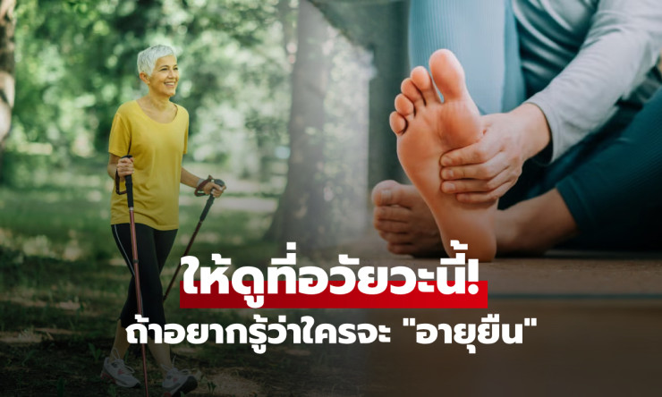ช็อก! อยากอายุยืน 100 ปี หมอชี้ อวัยวะลับ ที่ทุกคนมองข้าม แต่คือกุญแจทองอยู่ยาวแบบแฮปปี้! - fahbvip