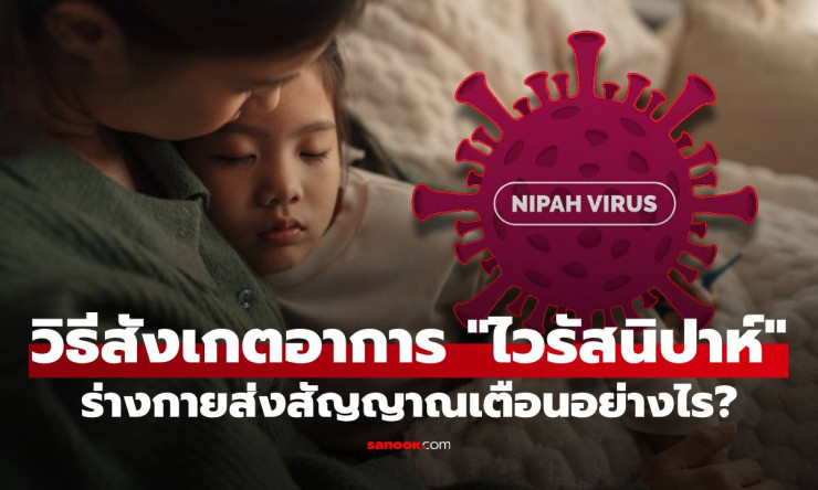 สัญญาณเตือนร้าย! ไวรัสนิปาห์เริ่มจากไข้หวัด แต่พุ่งสู่สมองอักเสบ-ตาย 40-70% ต้องรู้ทัน - fahbvip