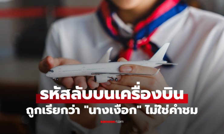 เตือน! ถูกแอร์โฮสเตสเรียก นางเงือก ไม่ใช่คำชม แต่เป็นรหัสลับสำหรับพฤติกรรมน่ารำคาญบนเครื่องบิน - fahbvip