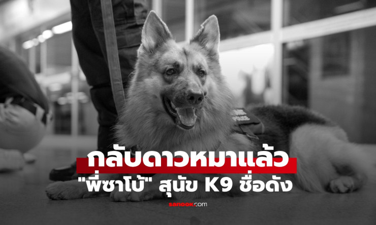 สุดอาลัย พี่ซาโบ้ สุนัขตำรวจ K9 ขวัญใจผู้ใช้รถไฟฟ้า กลับดาวหมาแล้ว - fahbvip
