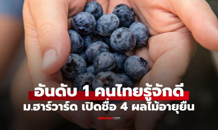 ฮาร์วาร์ดเปิดลับ 4 ผลไม้ อายุยืน ที่คนไทยกินมาตั้งแต่เด็ก แต่ไม่รู้ว่ามันแรงขนาดนี้! - fahbvip