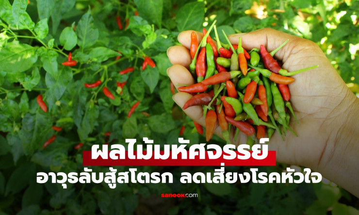 ผลไม้มหัศจรรย์ พริกไทยอาวุธลับต้านสโตรก ลดความเสี่ยงโรคหัวใจที่คนไทยขาดไม่ได้ - fahbvip