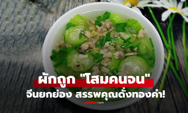 ใบงาโสมคนจน! จีนอวยยับ ไทยขายตลาดละ 10 บาท แต่บำรุงตับไตชะลอวัย ล้ำค่าดั่งทองคำ - fahbvip