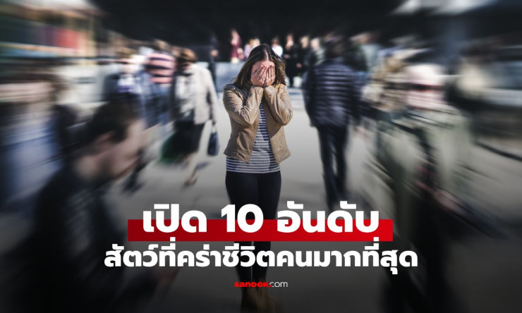 ช็อกทั้งโลก! 10 สัตว์นักฆ่าที่คร่าชีวิตคนมากที่สุด ไม่ใช่เสือหรือจระเข้ แต่ใกล้ตัวคุณสุดๆ - fahbvip