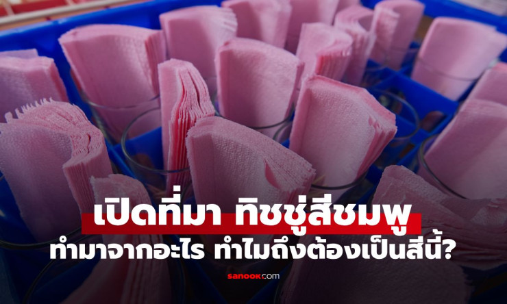 ใช้มาตั้งนานเพิ่งรู้! เปิดที่มาทิชชู่สีชมพูตามร้านอาหาร ทำจากอะไร ทำไมต้องเป็นสีนี้