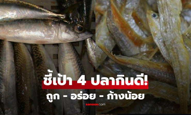 ถูกและดีมีจริง! 4 ปลาทะเลก้างน้อย เนื้อหวาน ไม่คาว อร่อยจนต้องขอเติมข้าว - fahbvip