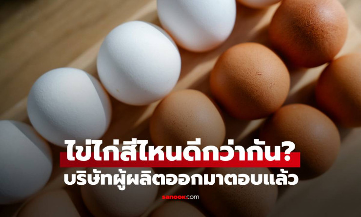 ไข่ไก่เปลือกสีน้ำตาลอร่อยกว่าไข่เปลือกสีขาว จริงหรือไม่? คำตอบจากผู้ผลิตไข่ไก่ - fahbvip