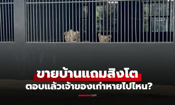 ฮือฮา! ขายบ้านเชียงใหม่แถมสิงโตตัวเป็นๆ ราคาถูกกว่าประเมินครึ่งหนึ่ง - fahbvip