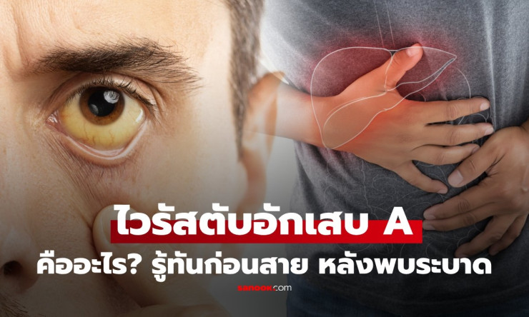 ???? คลัสเตอร์ไวรัสตับอักเสบ A ถล่มไทย! ป่วยพุ่ง 55 ราย รู้ทันก่อนเหลืองทั้งตัว-ตับพัง! - fahbvip