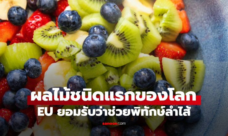ผลไม้พิทักษ์ลำไส้ ชนิดแรกของโลก ผ่านเกณฑ์ EU ดีกว่าไฟเบอร์ทั่วไป! - fahbvip