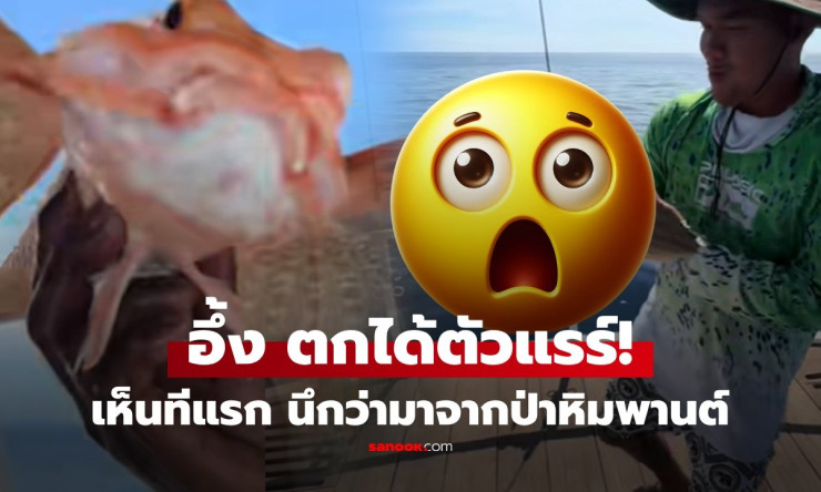 ชาวประมงแห่ว! ดึงเบ็ดขึ้นเจอสัตว์แปลกใต้ทะเลลึก ที่มีหน้าตาสวยแสนแปลก เหมือนตัวละครจากนิยายปัญญาศาสต - fahbvip