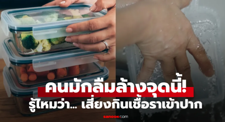 จุดเล็กๆ ในกล่องใส่อาหารที่คนมักลืมล้าง เสี่ยงกินเชื้อราและสารอันตรายสะสม - fahbvip