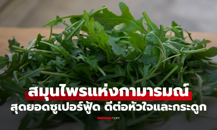 ผักใบเขียวสุดลึกลับ! สมุนไพรกามารมณ์ ที่หัวใจแข็งแรง กระดูกเหล็ก ซูเปอร์ฟู้ดตัวจริงที่กินแล้วชีวิตเป - fahbvip