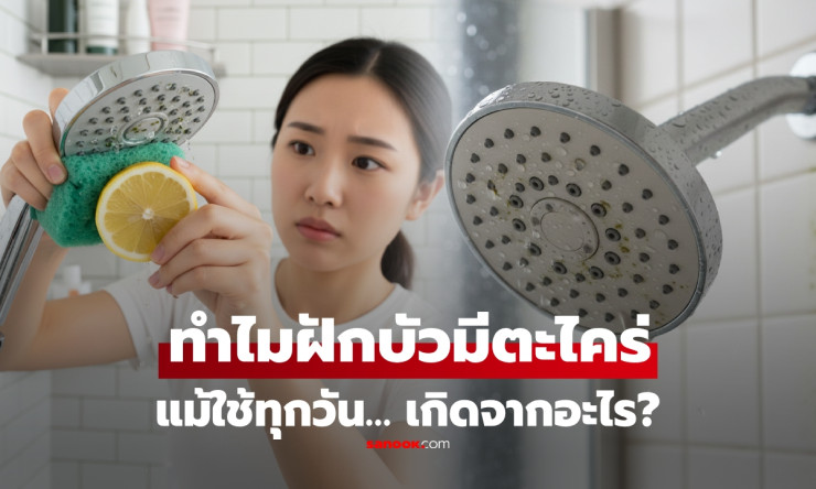 เฉลย! ทำไมฝักบัวอาบน้ำถึงเกิดตะไคร่ได้ง่าย แม้ใช้งานทุกวันน้ำไหลผ่านตลอด - fahbvip