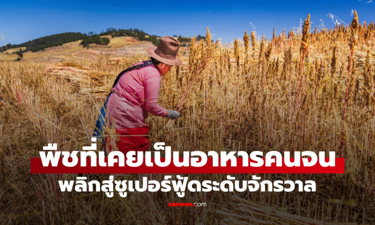 เมล็ดเจียสุดยอดซูเปอร์ฟู้ด! ประทังชีวิตคนจน สู่เมนูอวกาศนอกโลก ล่าสุด NASA ส่งไปฟีดนักบินอวกาศ - fahbvip