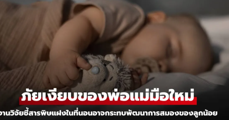 ภัยเงียบของพ่อแม่มือใหม่ - fahbvip