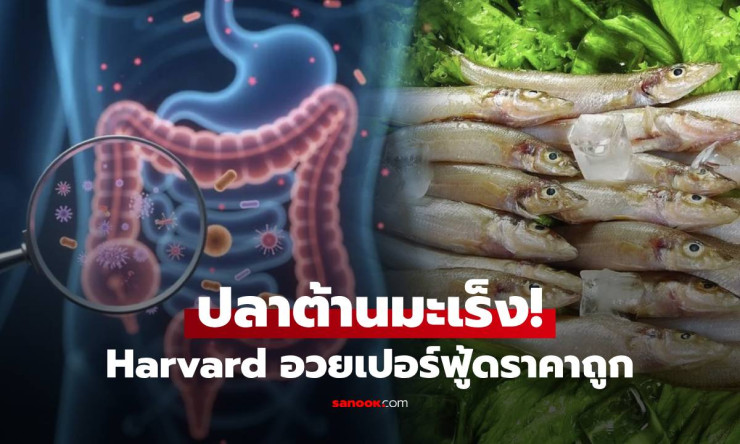 ฮาร์วาร์ดเผย! ปลาตัวนี้ต้านมะเร็งลำไส้ได้ถึง 31% ราคาถูก หากินง่าย ทำไมคนไทยถึงต้องรู้? - fahbvip
