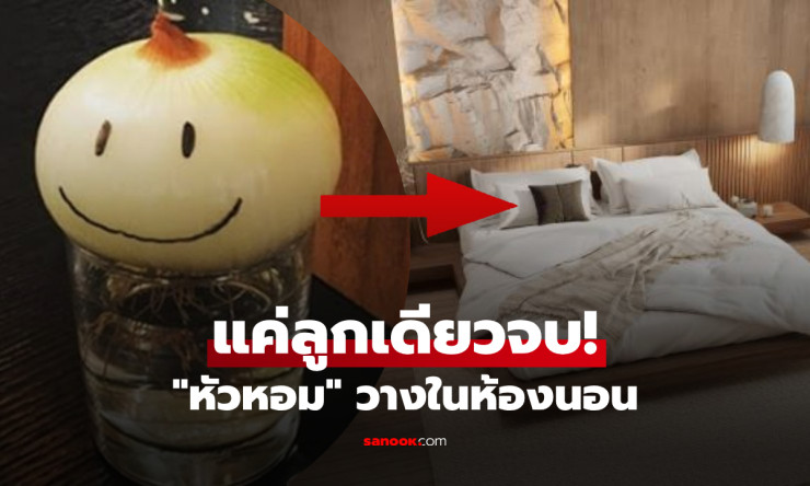 ช็อก! วางหอมหัวใหญ่ใกล้หมอนคืนเดียว นอนหลับลึก สุขภาพพุ่งปรี๊ด เรื่องจริงไม่ใช่แค่ตำนาน! - fahbvip