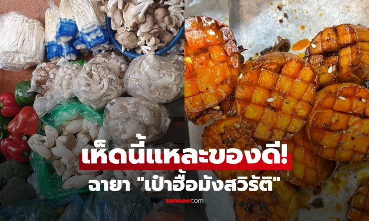 ไทยมีเกลื่อน! เห็ดฉายาเป๋าฮื้อมังสวิรัติ ล้ำค่าในราคาติดดิน กินเสริมภูมิ-หัวใจ-หลอดเลือด - fahbvip