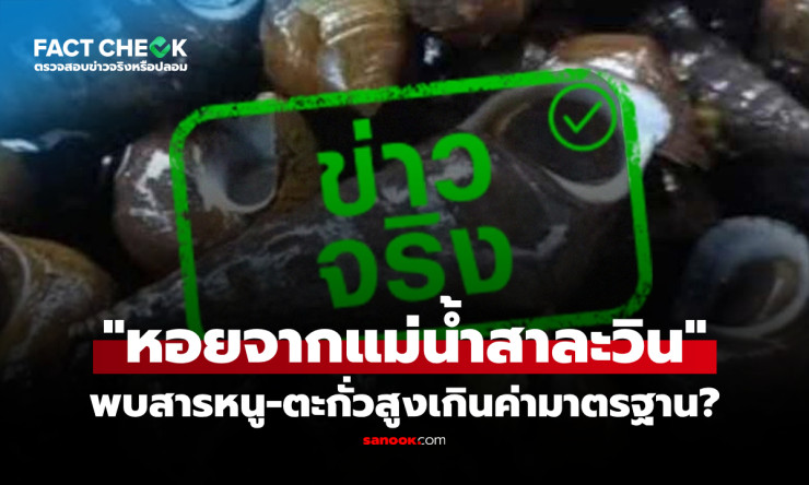 ช็อก! หอยสาละวิน สารหนู-ตะกั่วพุ่งทะลุเกณฑ์ อย่ากินเด็ดขาด ก่อนสายเกินแก้! - fahbvip