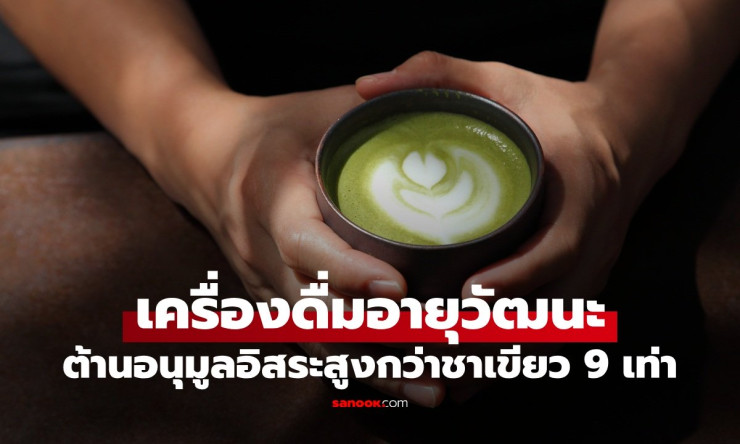 มัทฉะ เครื่องดื่มยาอายุวัฒนะญี่ปุ่น สารต้านอนุมูลอิสระสูงกว่าชาเขียวถึง 9 เท่า - fahbvip