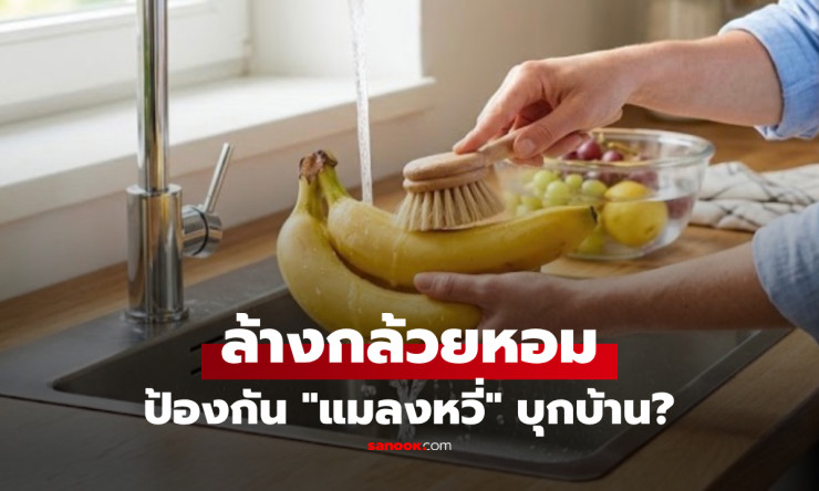 นักกีฏวิทยาเฉลย! ล้างกล้วยหอมหลังซื้อ ช่วยตัดวงจรแมลงหวี่บุกบ้านได้จริงหรือ? - fahbvip