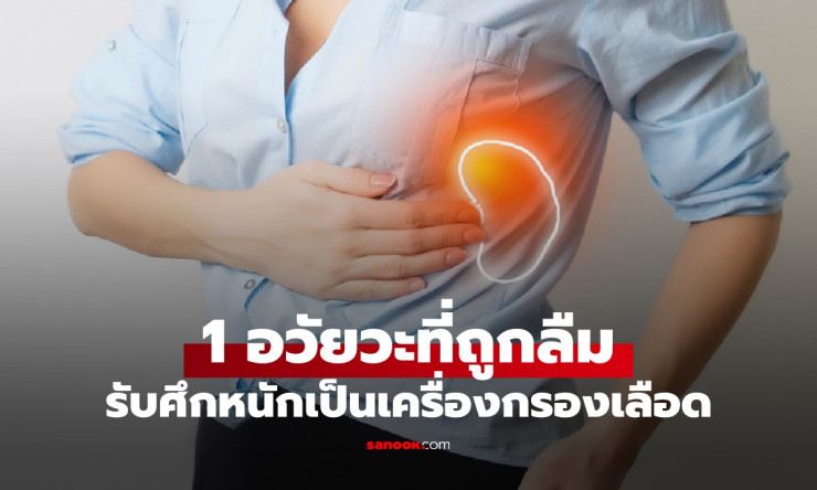 อวัยวะลึกลับใต้ซี่โครง! ตัวกรองเลือดสุดแกร่ง ต่อสู้เชื้อโรคเงียบๆ ไม่เคยบ่น เห็นแล้วต้องร้องว้าว! - fahbvip