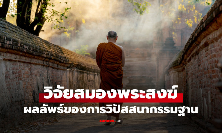 นักวิทย์ค้นพบความลับสมอง! พระสงฆ์ที่ปฏิบัติวิปัสสนากรรมฐานมีสัญญาณสมองซับซ้อนกว่าคนธรรมชาติ - fahbvip