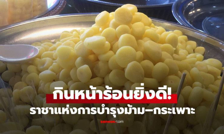 คนไทยรู้จักดี! ราชาแห่งการบำรุงม้าม–กระเพาะ ดีกว่ามันเทศ โภชนาการแซงเผือก - fahbvip