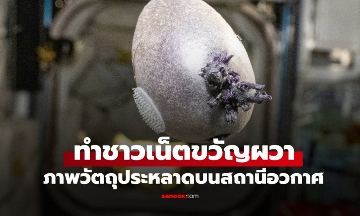 ช็อกทั้งโลก! วัตถุม่วงลอยคล้ายเอเลี่ยนบน ISS จริงๆ คือมันฝรั่ง?! นักบินอวกาศเฉลยปริศนาแล้ว - fahbvip