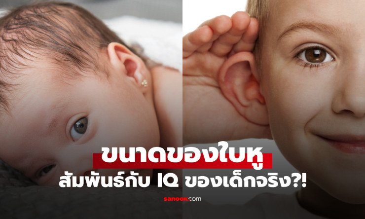 หูใหญ่หรือหูเล็ก? เด็กแบบไหนฉลาดกว่า ศจ.เผยผลวิจัยช็อก เชื่อมโยงกันจริง! - fahbvip