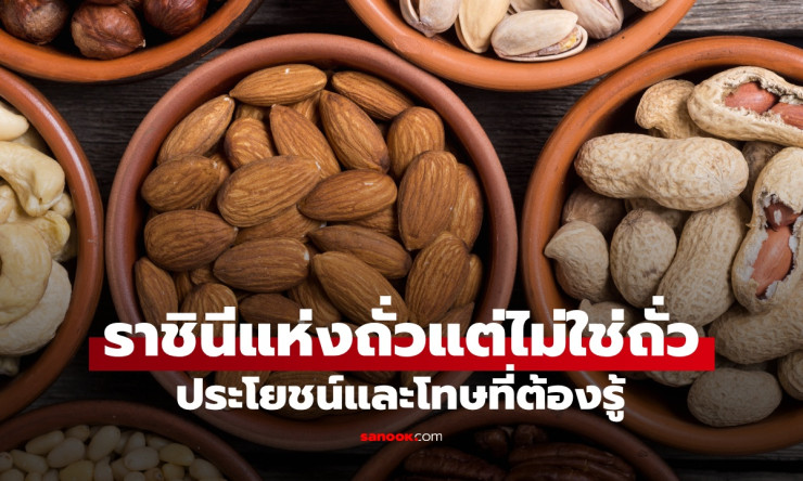 แมคคาเดเมีย ราชินีแห่งถั่วที่ไม่ใช่ถั่ว ประโยชน์และโทษที่ควรรู้ - fahbvip