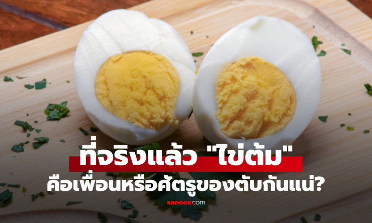 หมอเฉลยชัด! กินไข่ต้มทุกวัน ดีหรือร้ายต่อตับและสุขภาพอย่างไร? - fahbvip