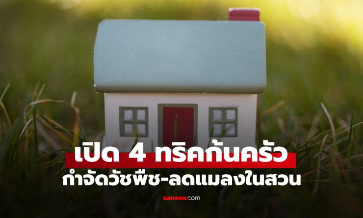 ไม่ต้องซื้อยาเคมี! 4 วิธีสุดฮิตจากห้องครัว กำจัดวัชพืชและแมลงในสวนให้หายไป
