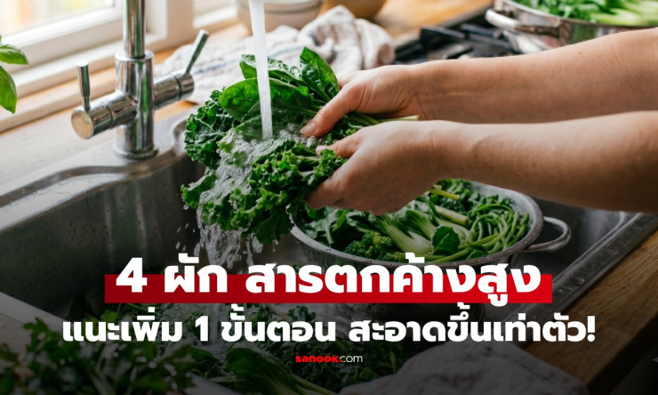 ช็อก! 4 ผักโปรดที่กินบ่อยสุด เต็มไปด้วยสารพิษตกค้าง เพิ่มแค่ 1 ขั้นตอน ล้างสะอาด 2 เท่า ปลอดภัย 100% - fahbvip