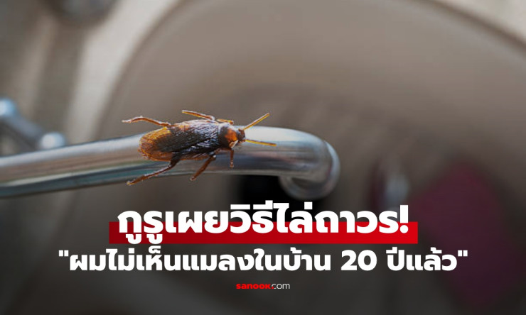 เคล็ดลับกำจัดแมลงสาบบินในบ้าน อยู่บ้านมา 20 ปีไม่เคยเจอ! - fahbvip