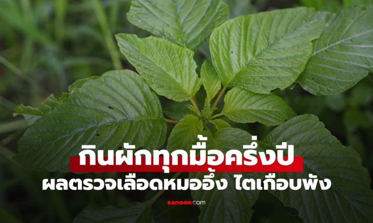 กินผักโขมทุกมื้อครึ่งปี ผลเลือดพุ่งจนหมอถึงกับถามตรง ๆ เคราะห์ดีไตยังไม่พัง - fahbvip
