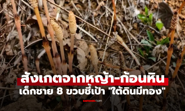 เด็กชาย 8 ขวบ อัจฉริยะเล็ก ชี้เป้าขุมทองบนเขา พ่อใช้ AI ตรวจสอบ ผู้เชี่ยวชาญกระหึ่ม! - fahbvip