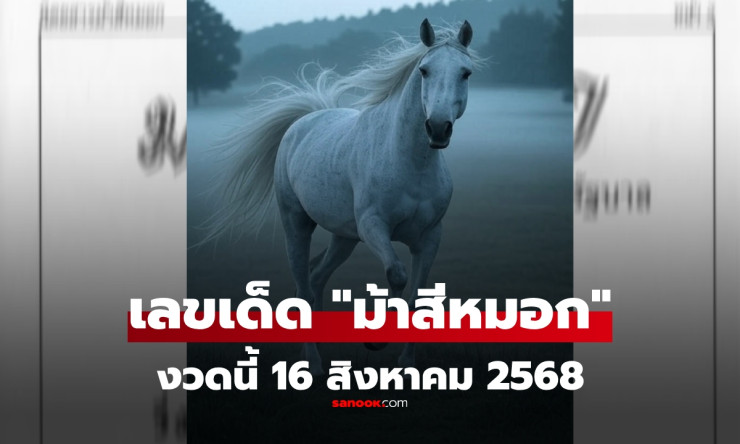 เลขเด็ด ม้าสีหมอก งวดนี้ 16 สิงหาคม 2568 แนวทางหวยแม่น ๆ ที่คอหวยไม่ควรพลาด - fahbvip