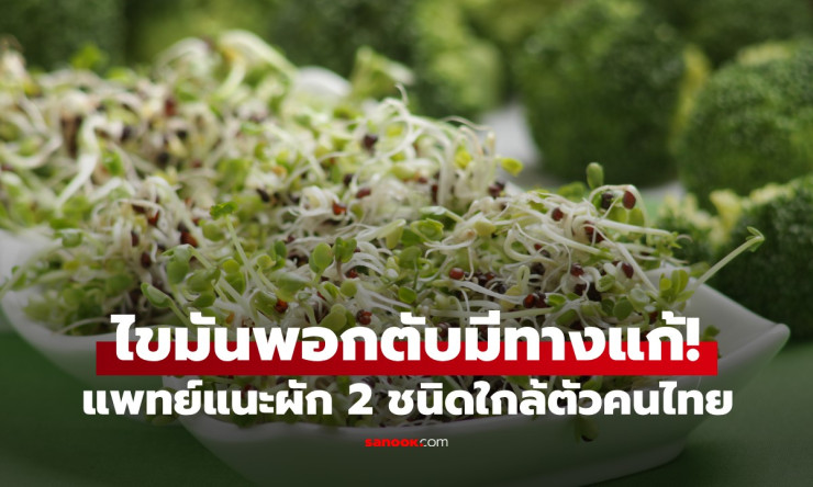 ไขมันพอกตับหายชัวร์! แพทย์ไต้หวันชี้ “ผัก 2 ชนิดไทยมี” กินสดกำมือ ดีขึ้น 50 เท่า ล่าสุด! - fahbvip