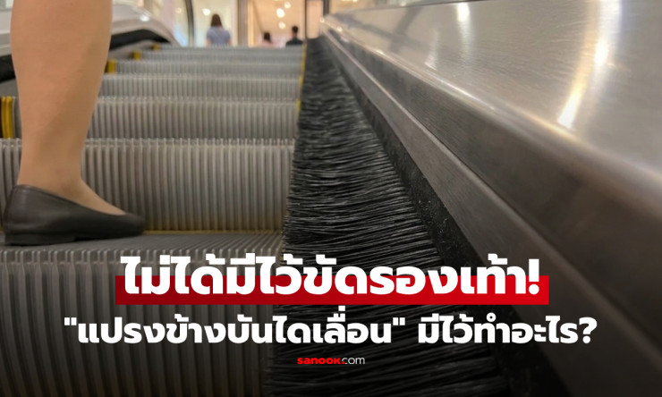 ไม่ได้ไว้ขัดรองเท้า! แปรงข้างบันไดเลื่อนมีไว้ทำอะไร? ที่แท้สำคัญมาก อย่าไปใกล้เด็ดขาด - fahbvip