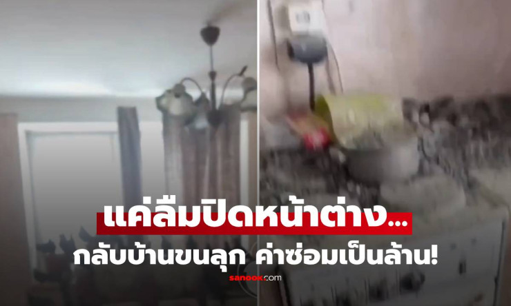 ลืมปิดหน้าต่างแค่ 3 ปี บ้านกลับเป็น อาณาจักรนกพิราบ ค่าซ่อมวิ่นเข้า 2 ล้านรูเบิล!!! - fahbvip