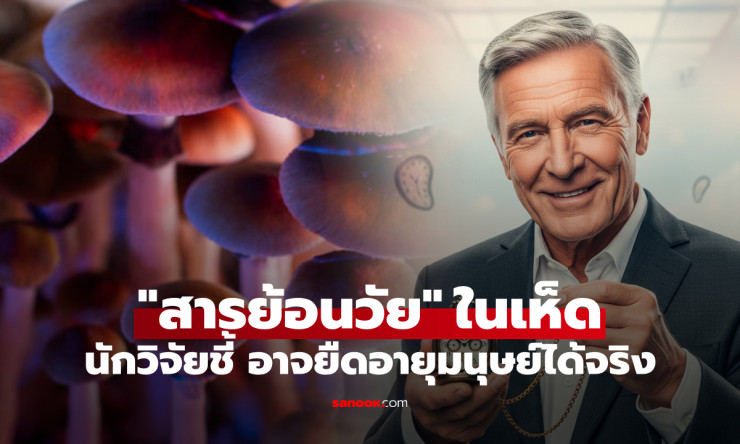 วิจัยชี้เห็ดวิเศษมีสาร ‘ยาอายุวัฒนะ’ ยืดอายุเซลล์มนุษย์ได้ถึง 50% แต่หลายประเทศยังห้ามใช้ - fahbvip