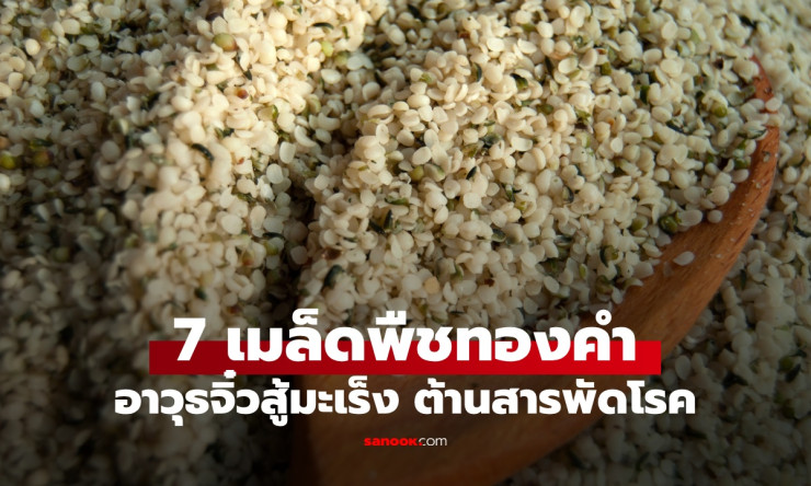 7 เมล็ดพืชล้ำค่า อาวุธจิ๋วสู้สารพัดโรค ต้านมะเร็ง ของกินเล่นประโยชน์มหาศาล - fahbvip
