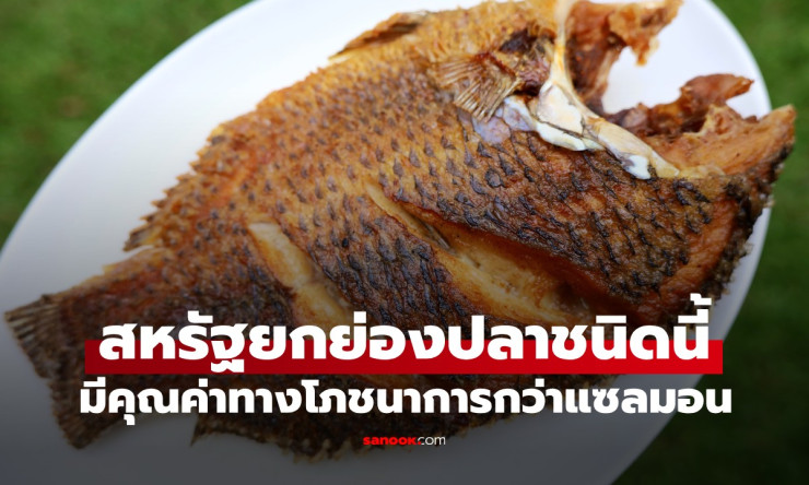 ปลานิลไทย สุดยอดคุณค่าทางโภชนาการที่สหรัฐฯ ยกย่องมากกว่าแซลมอน - fahbvip