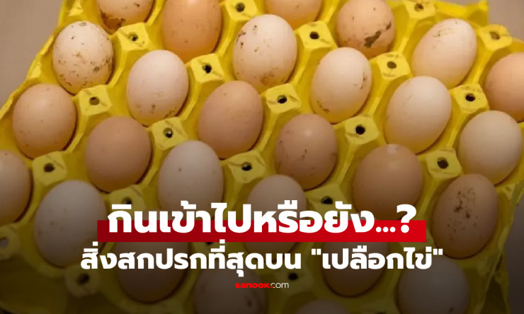 รู้หรือไม่? สิ่งสกปรกบนเปลือกไข่ที่คุณอาจกินเข้าไปทุกวันโดยไม่รู้ตัว! - fahbvip