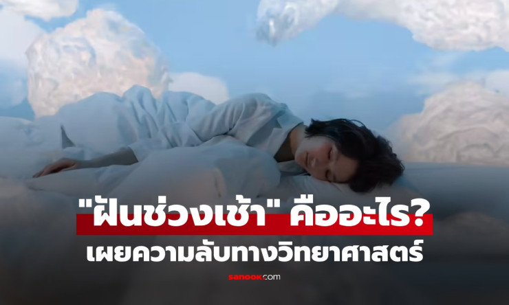 ความฝันช่วงเช้า คืออะไร? เผยนัยสำคัญ พร้อมเทคนิคจำฝันชัด ความลับทางวิทยาศาสตร์! - fahbvip