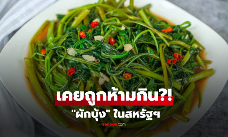ช็อก! ผักบุ้งที่เรากินทุกวัน กลายเป็น วัชพืชพิษ ต้องแบนในอเมริกา? เรื่องจริงที่คุณไม่เคยรู้! - fahbvip