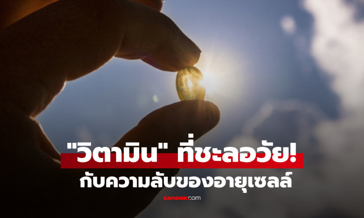 วิจัยใหม่อเมริกา ยืนยัน วิตามินดี ช่วยชะลอความแก่ รักษาเซลล์ไม่ให้เสื่อมเร็ว - fahbvip