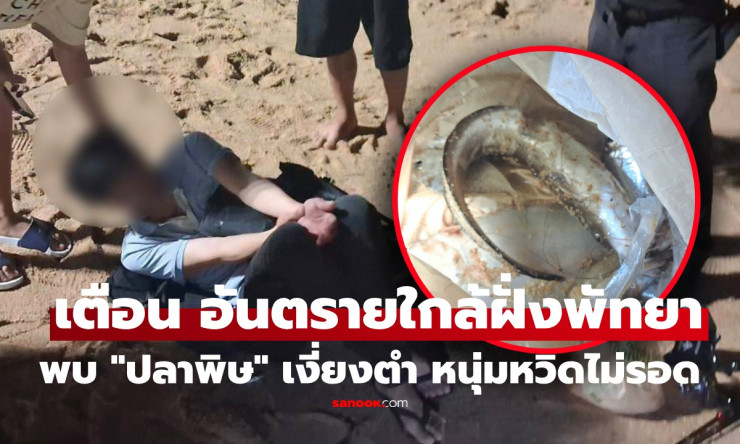 ผงะกลางหาดจอมเทียน! หนุ่มนอนชาครึ่งตัว โดนเงี่ยงปลาดุกทะเลตำ สุดทรมานเทศกิจรุดช่วยด่วน - fahbvip